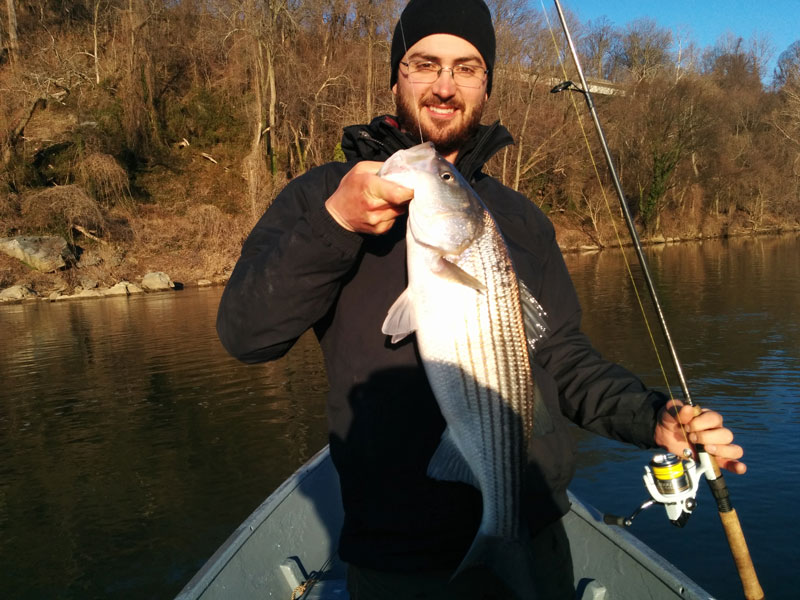 March 31, 2015 – Rockfish Fever