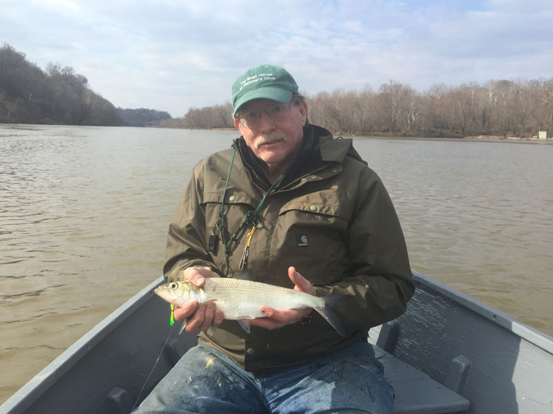 March 27, 2015 – The shad are here!